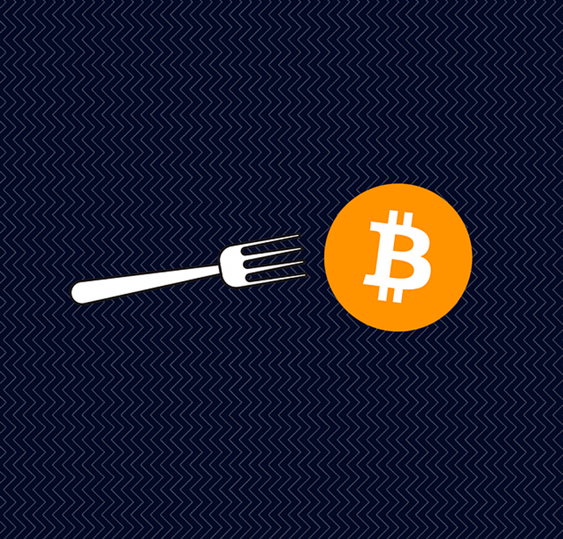 Btc november fork can you make money in crypto mining