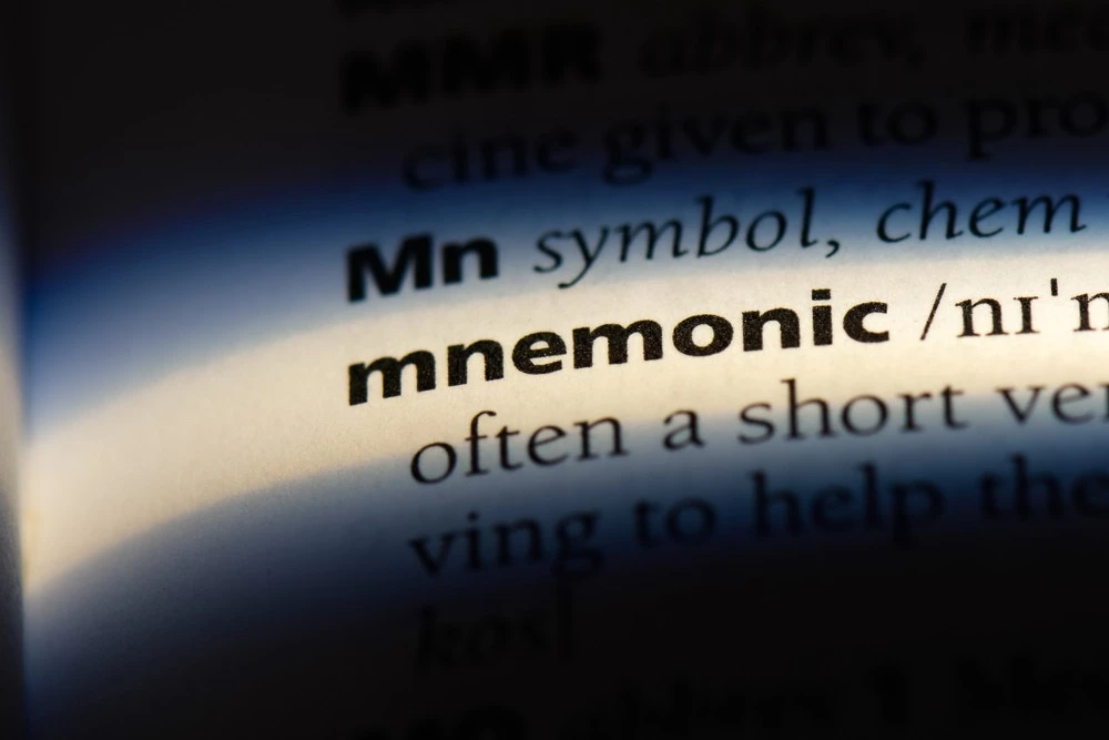 What is a mnemonic phrase